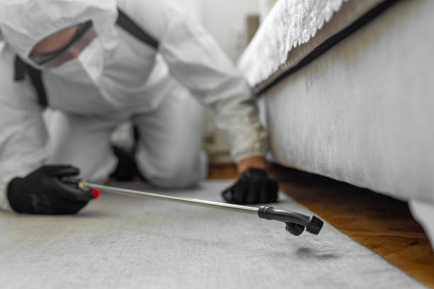 Professional Bed Bug Control technician working in Fresno County County, CA